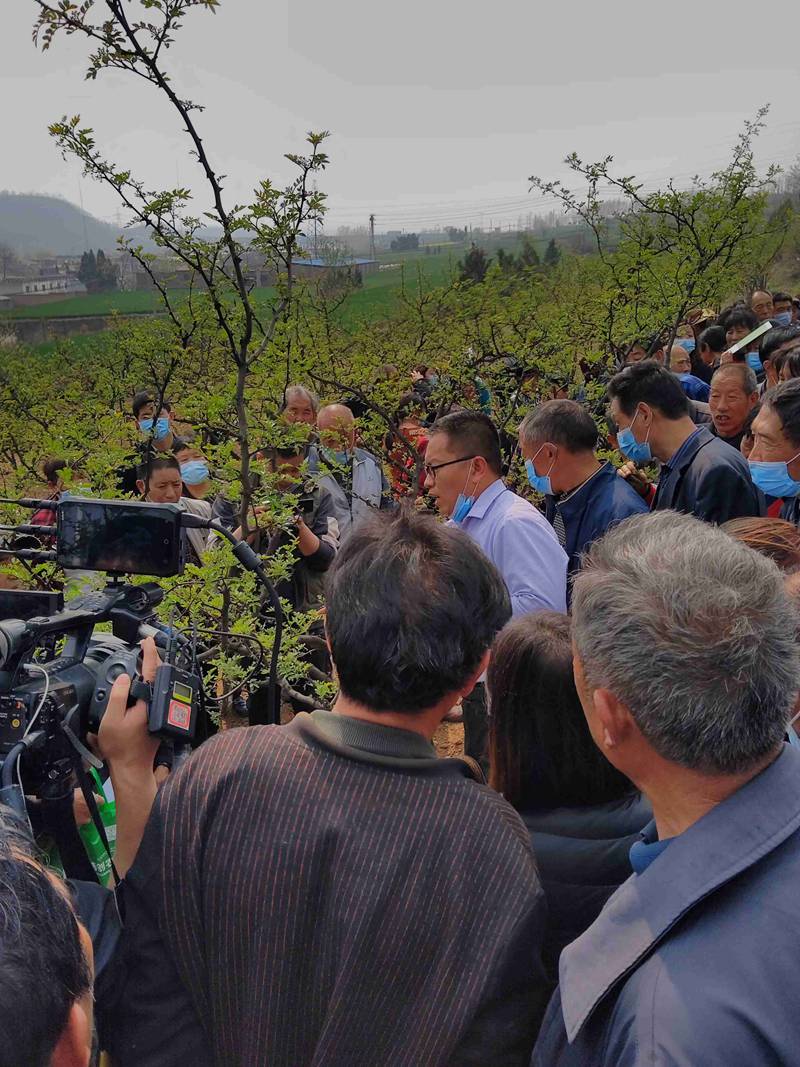 我公司參加澠池縣花椒春季管理與病蟲害防治技術(shù)培訓會(圖2)