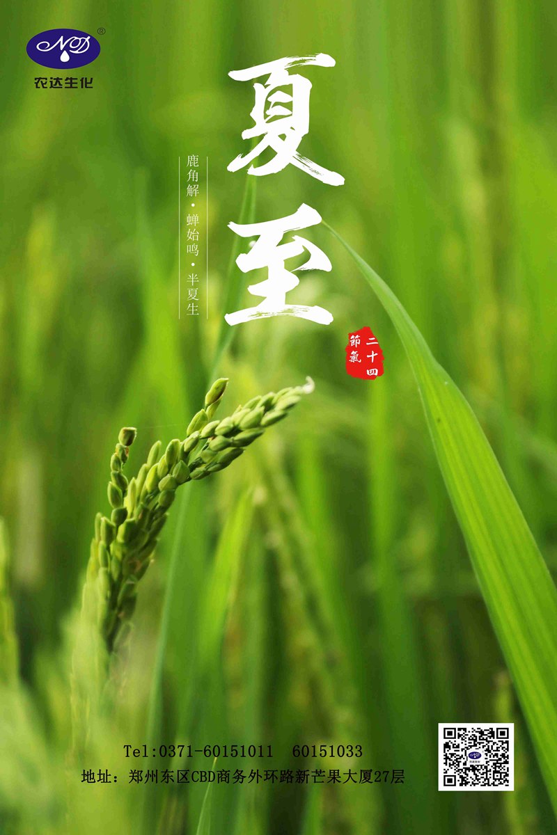 關注農時——夏至(圖1)