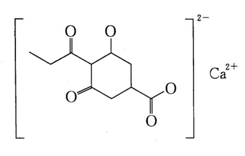 調(diào)環(huán)酸鈣(圖2)